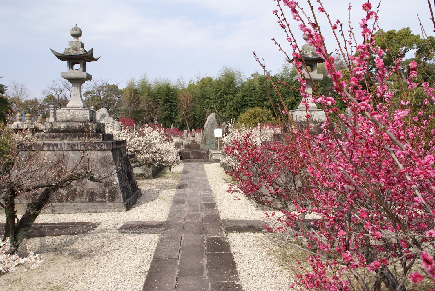 ⛩️ 고덴지 사찰 (고덴지) 이미지 5